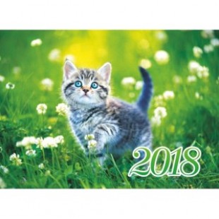 Календарь 2018г. квартальный 3х блочный на 3х гребнях, с бегунком, Веселый котенок