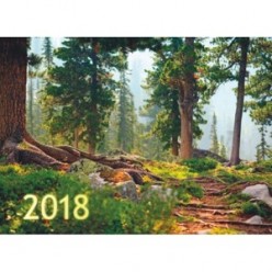 Календарь 2018г. квартальный 3х блочный на 3х гребнях, с бегунком, Сказочный лес