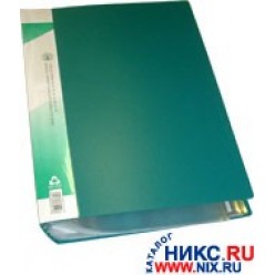 Папка пластиковая с файлами А4 100вкл, Бюрократ зеленая (BPV100grn)