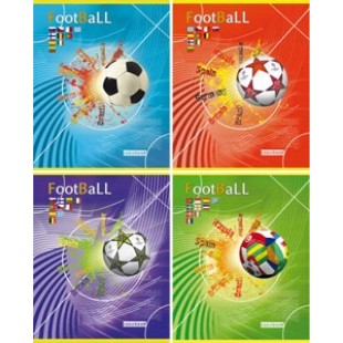 Тетрадь А5, 048л, клетка, скрепка, обл картон, офсет, Мячи на цветном фоне (5видов)